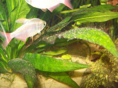 100_1492.JPG