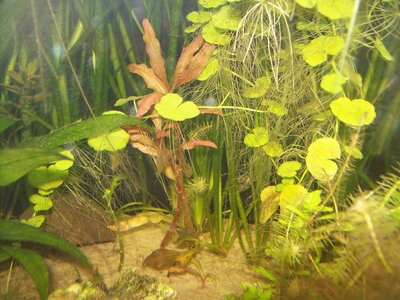 100_1493.JPG