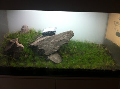 Foto30.1.13.JPG