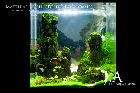 MatthiasKessel_DesertRockOasis.jpg