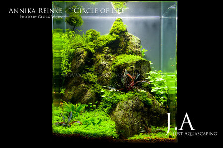n01AnnikaReinke_CircleOfLife.jpg