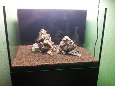 20130204_162806.jpg