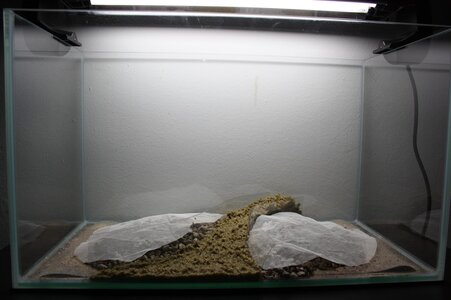 IMG_6300.jpg