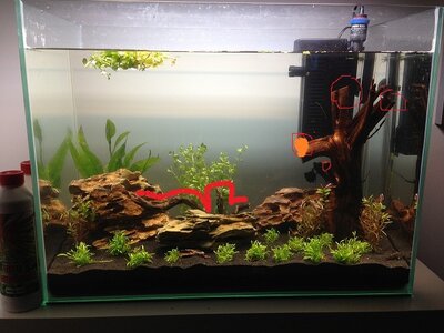 Aquascaping_1 korrektur.jpg