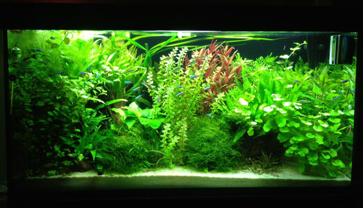 Gesamtansicht Aqua.jpg