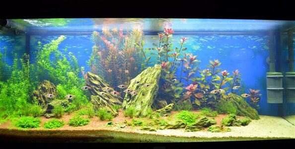 aquarium.jpg