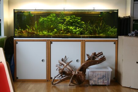 Aquarium1.JPG