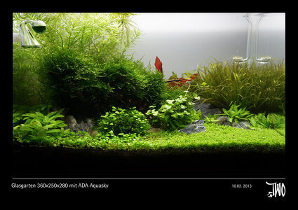 Glasgarten 360x250x280 mit ADA Aquasky Bild 11b.jpg