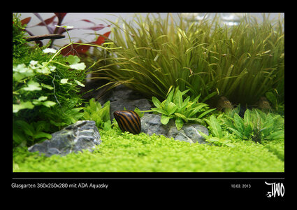 Glasgarten 360x250x280 mit ADA Aquasky Bild 12b.jpg