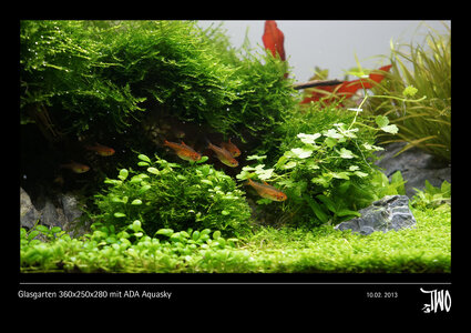 Glasgarten 360x250x280 mit ADA Aquasky Bild 16b.jpg