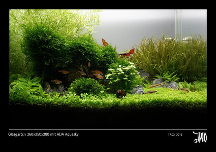 Glasgarten 360x250x280 mit ADA Aquasky Bild 18b.jpg