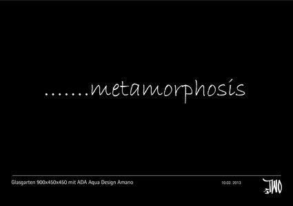 metamorphosis 1a.jpg