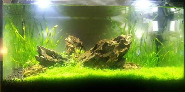 20130106_203327.jpg