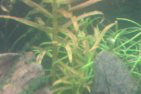 IMAG0318.jpg