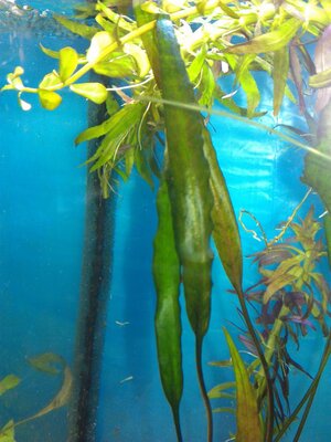 K1024_IMAG1533.JPG