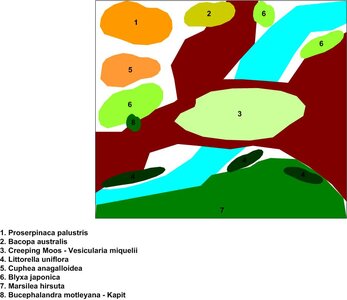 Der gewundene Fluss.jpg