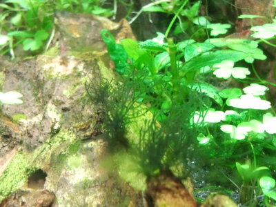 2013-03-05 12.08.27.jpg