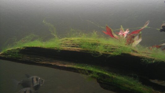 IMAG0464.jpg