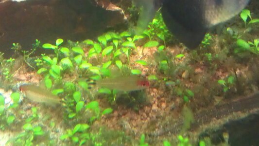 IMAG0465.jpg