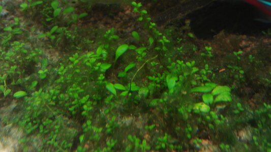 IMAG0467.jpg