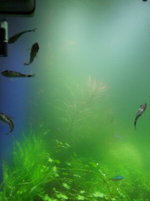 DSCF6063.JPG