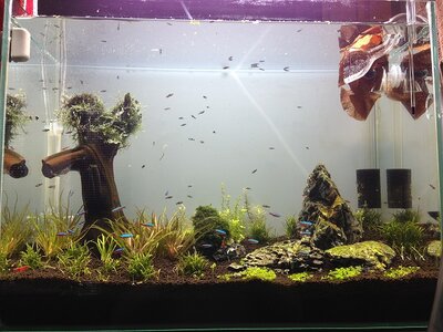 AQUARIUM.jpg