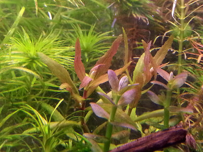 20130310_1840182.jpg