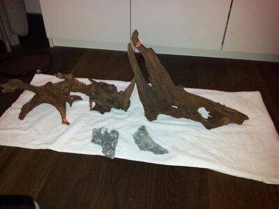 IMG-20130305-WA0011.jpg