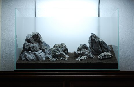 DSC_1058.JPG