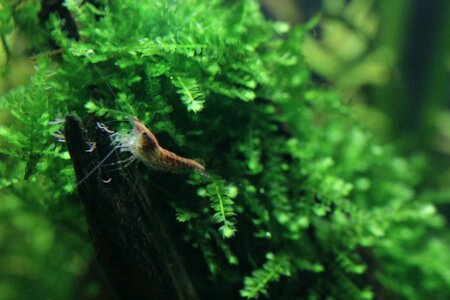 img20130317_223517.jpg
