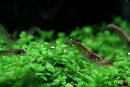img20130317_223323.jpg