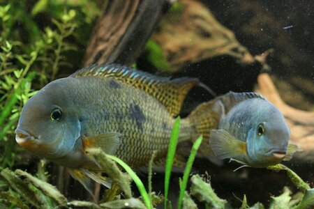 img20130317_223149.jpg