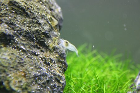 IMG_6338.jpg