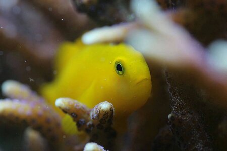 img20130319_000756.jpg