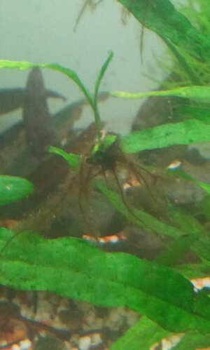 20130320_194445.jpg