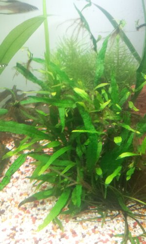 20130320_194455.jpg