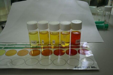 Nitrat-Test-Fehlschlag-3.jpg