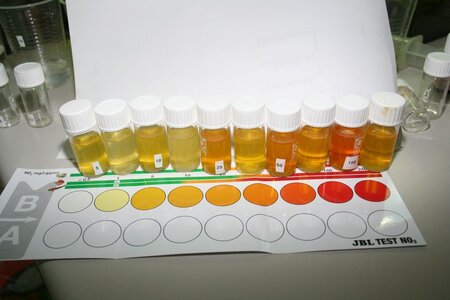 Nitrat-Test-Fehlschlag-10.jpg