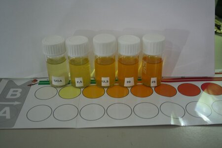 Nitrat-Test-Fehlschlag-12.jpg
