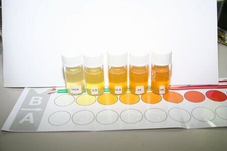Nitrat-Test-Fehlschlag-13.jpg