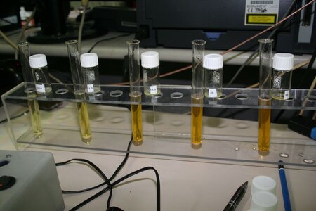Nitrat-Test-Fehlschlag-14.jpg
