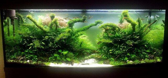20130405_164235pi.jpg