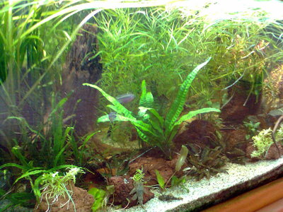 Bild0498.jpg