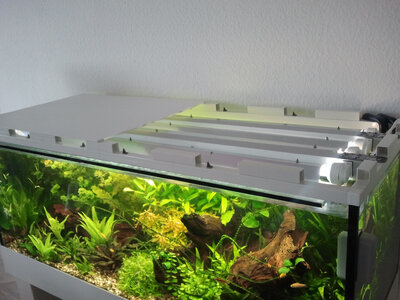 CameraZOOM-20130408120310176.jpg