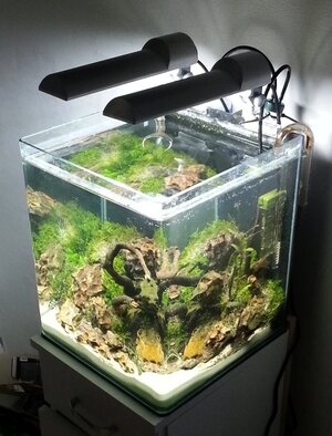 2013-04-08 20.03.48.jpg
