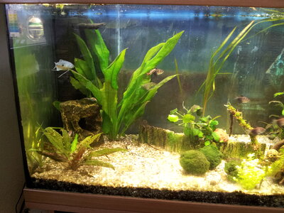 20130422_102017[1].jpg