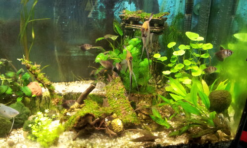20130422_102549[1].jpg