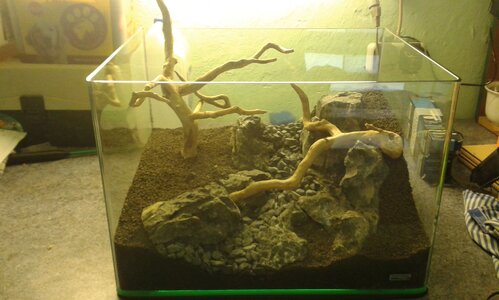 20130122_123427.jpg