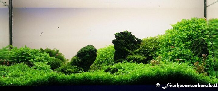 minilandscape20100209002.JPG