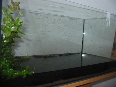 112-1240_IMG.JPG